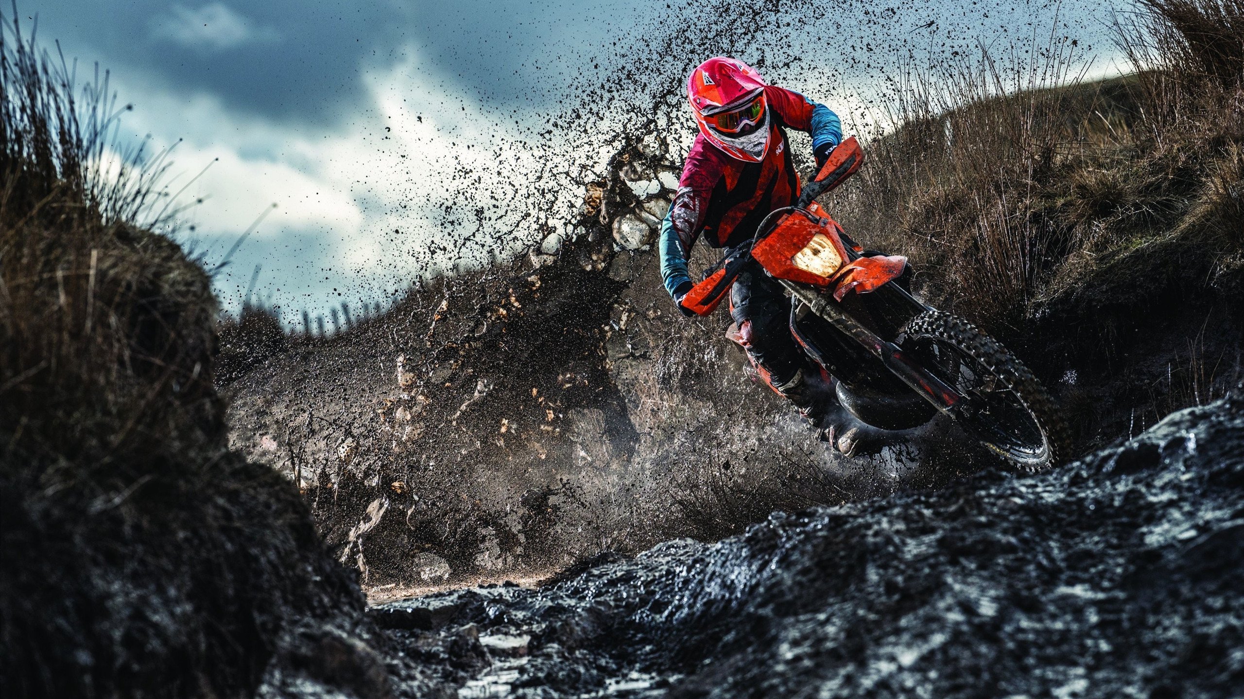 开云下载-帕尔默大场面先生,当法国雷恩的冷风,吹过现代足球的幻象